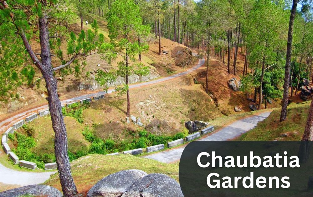 chaubatia gardens