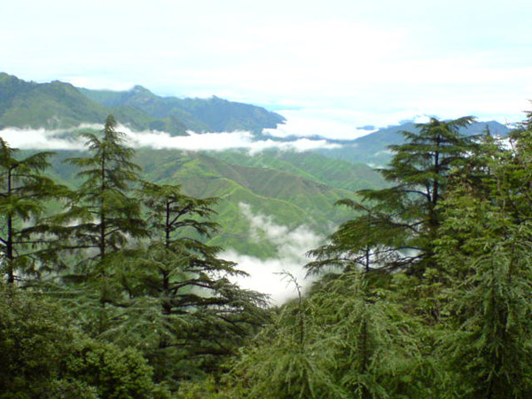 Get reasonable Tour package for Chakrata to enjoy best weekend getaway