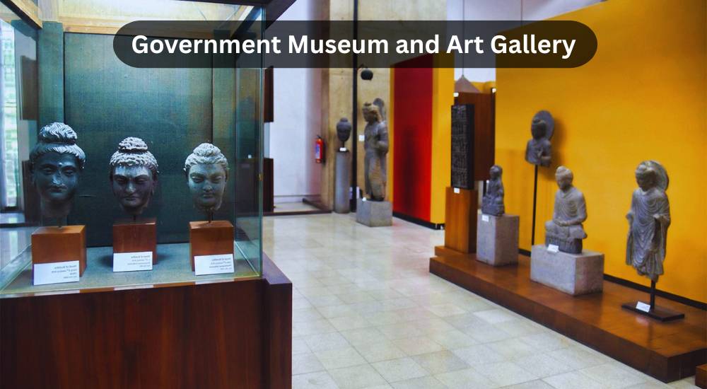 government museum and art gallery