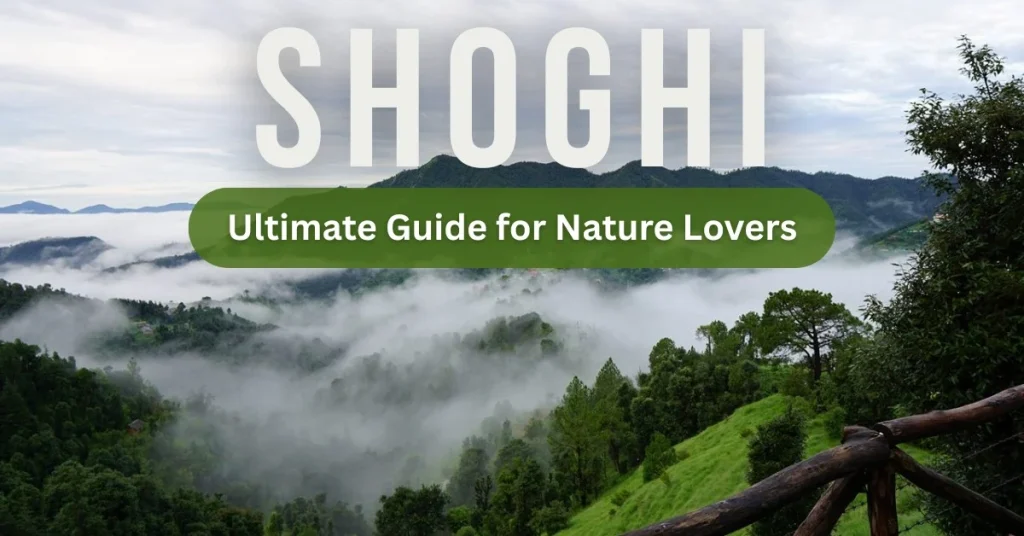 Tour Package for Shoghi – Ultimate Guide for Nature Lovers Tour Package for Shoghi – Ultimate Guide for Nature Lovers