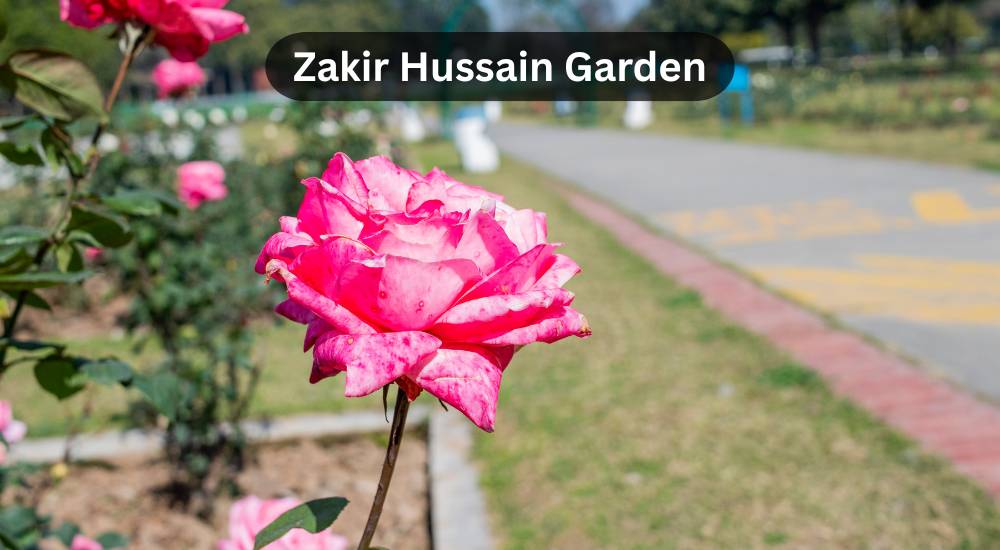 zakir hussain garden