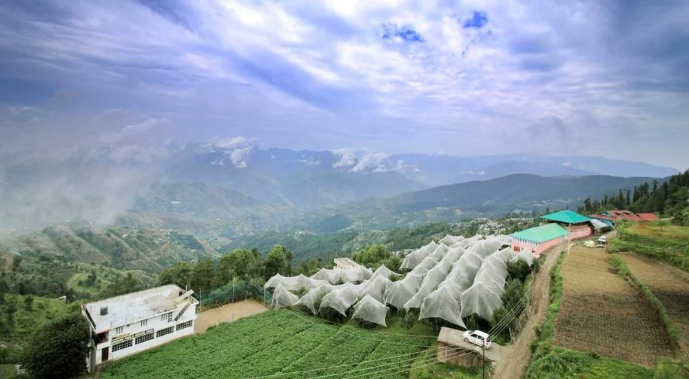 fagu viewpoint