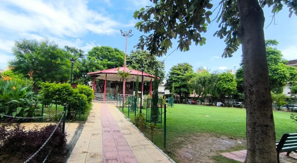 rajinder park
