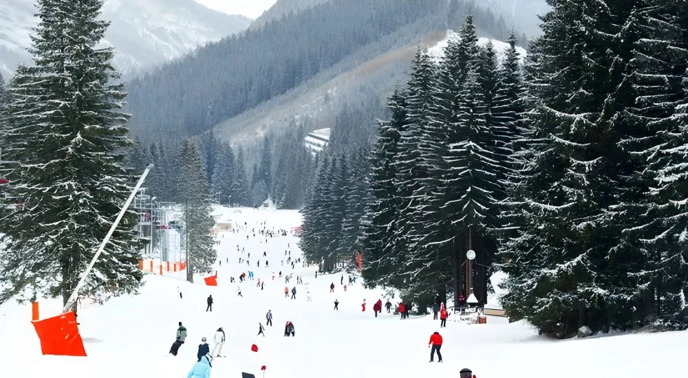 skiing and ice skating