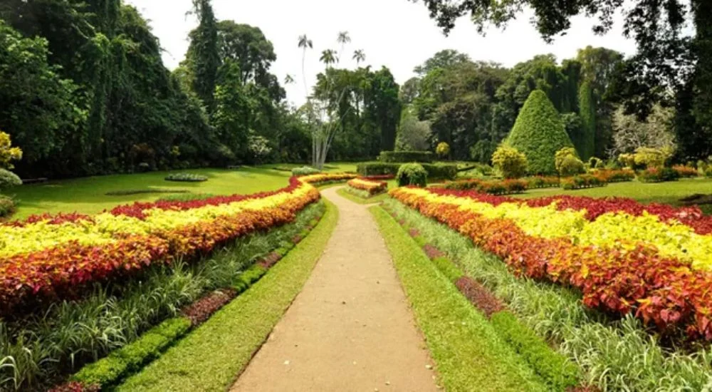 zakir hussain rose garden