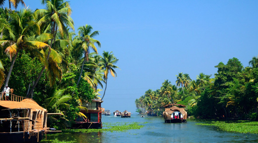 enjoy the beauty of nature in south India