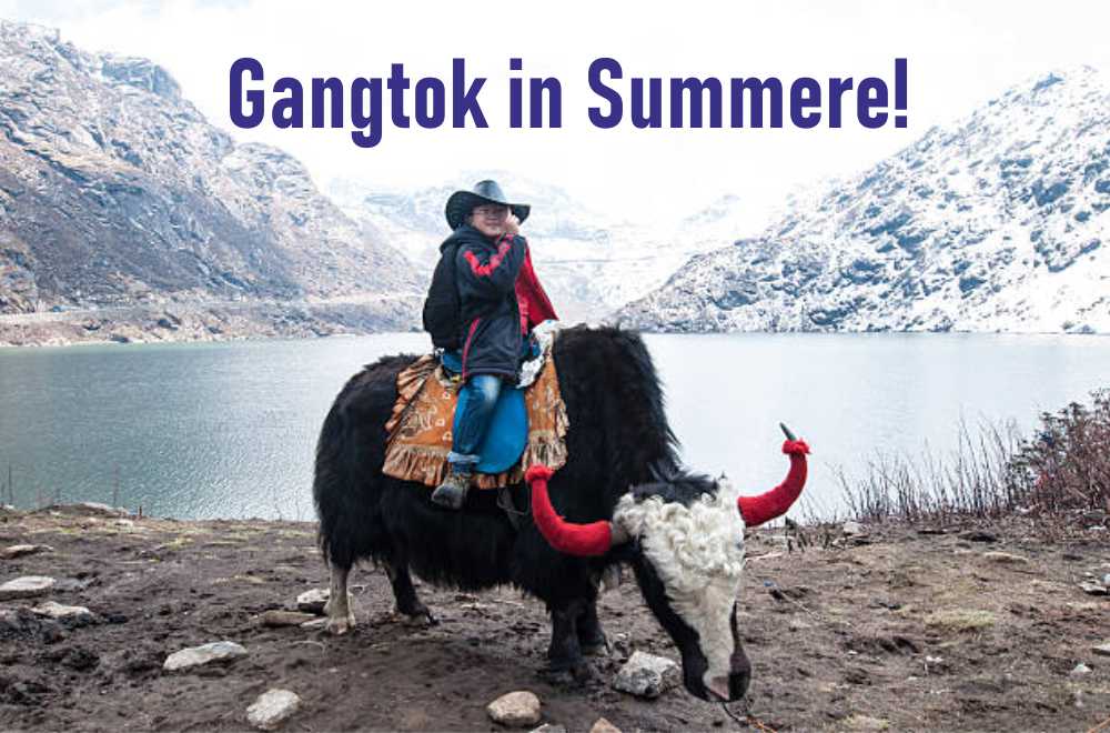 Gangtok in Summer: An Exquisite Vacation Filled with Fun & Adventure!