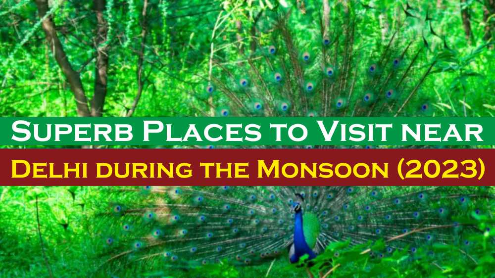 Superb Places to Visit near Delhi during the Monsoon (2023)