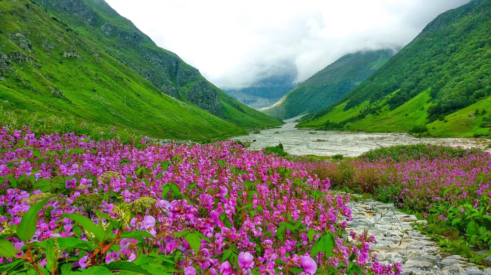 Valley-of-Flowers