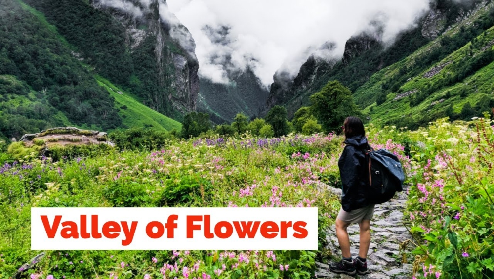 Valley of Flowers Uttarakhand