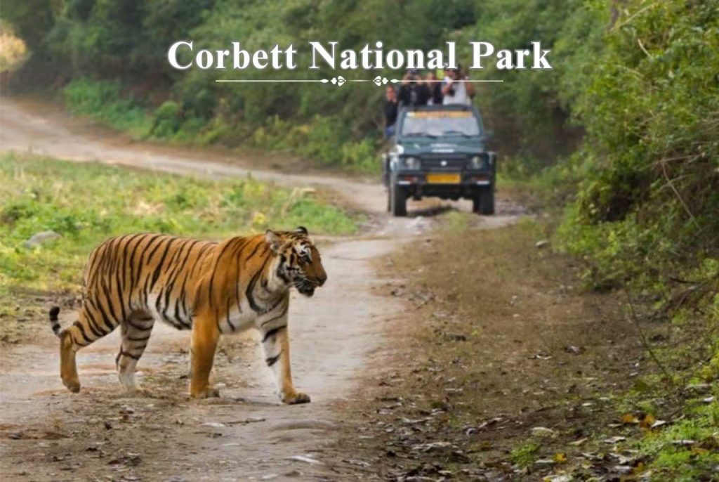 corbett national park