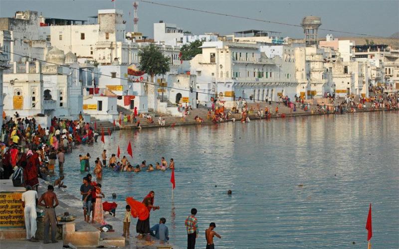 pushkar1